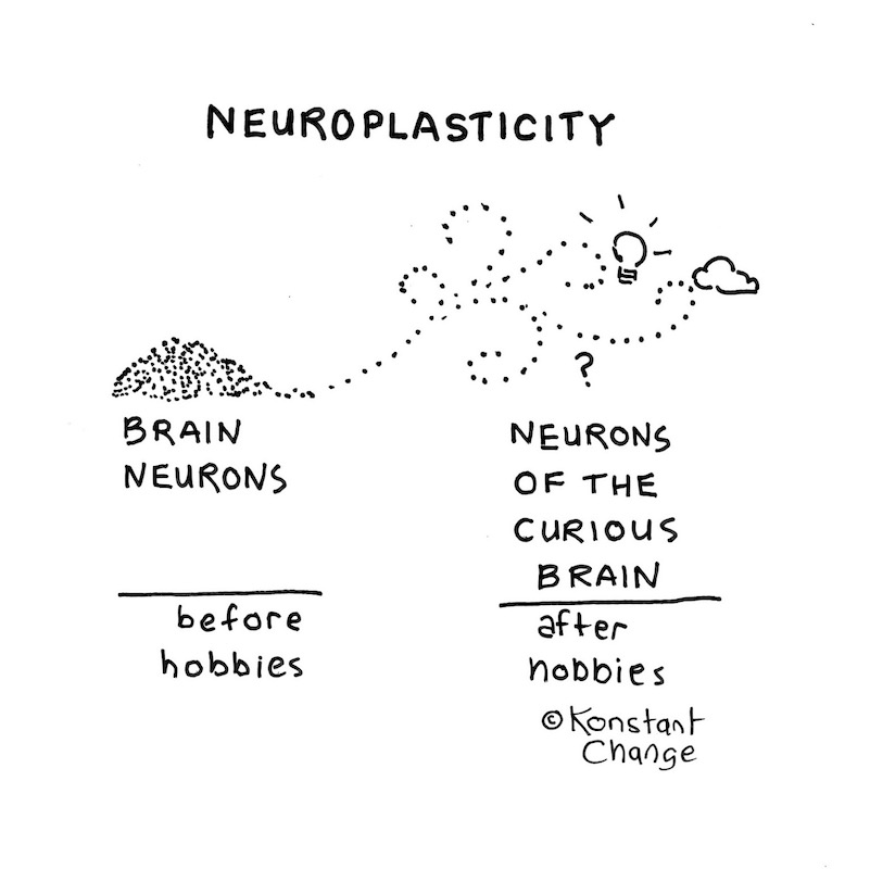 your-brain-and-hobbies-neurons